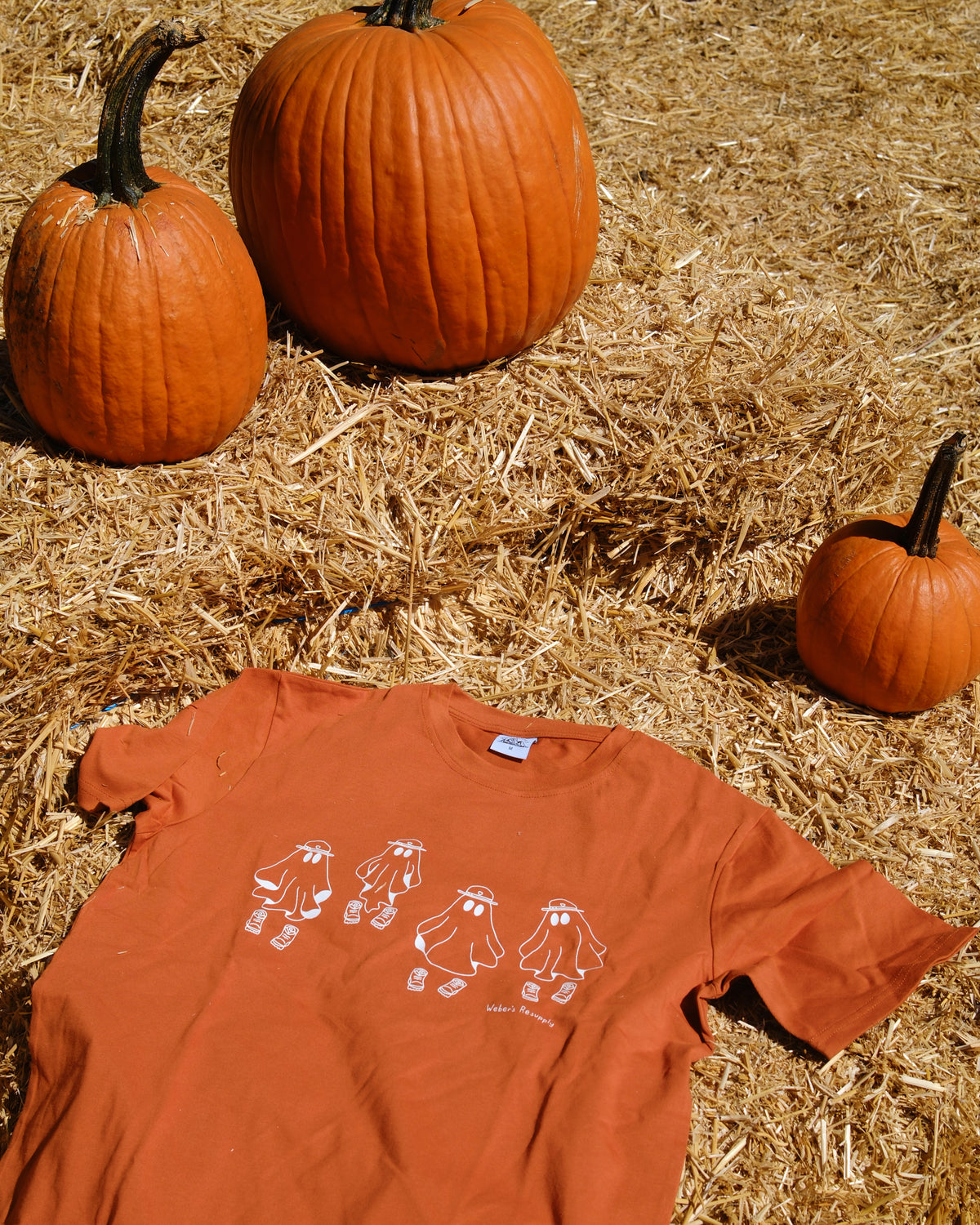 Hiking BOOts Tee